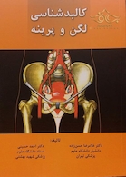 کالبدشناسی لگن و پرینه